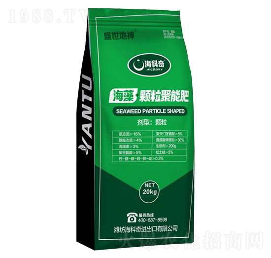 �����w�����ܷ�-ʢ������-������