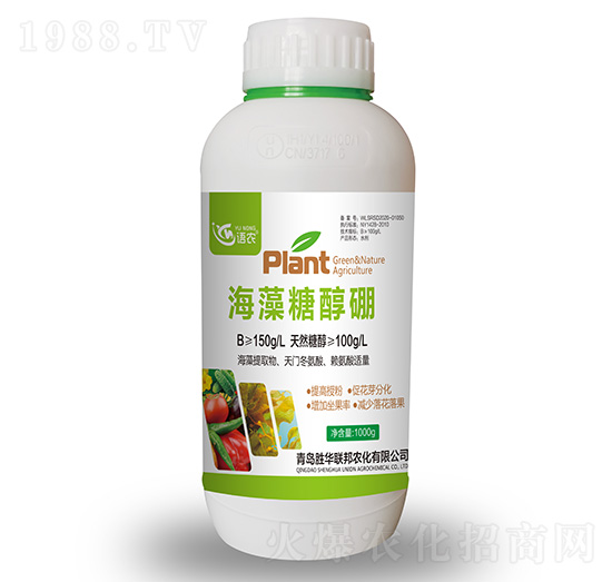 �����Ǵ���-�Z(y��)�r(n��ng)-���A(li��n)��