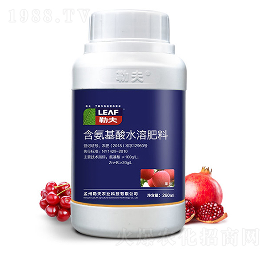 �����~���-�շ�