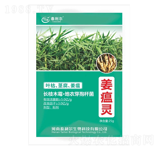 ΢�������-�����`-̩����