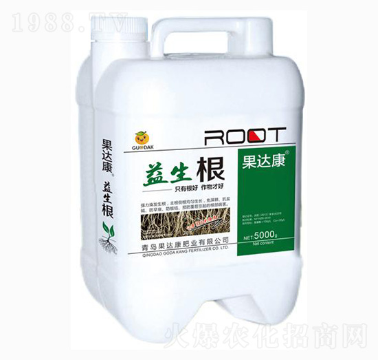 �������_ʩ��-���_���ʘI(y��)