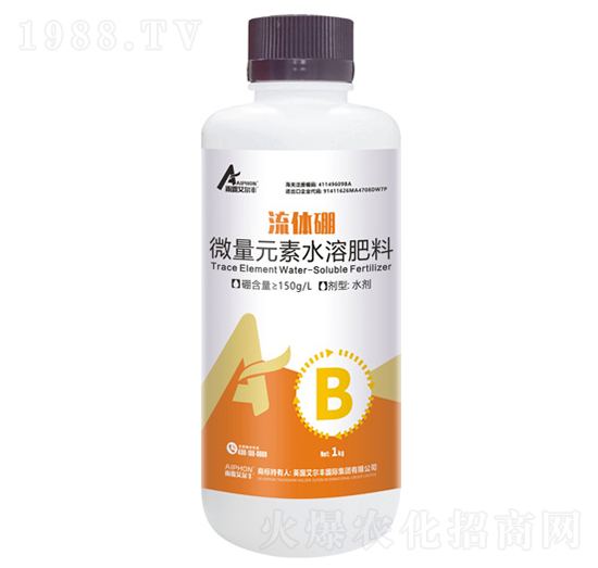 ���w��ƿ��-��¶�����S