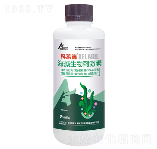 ��������̼���-���R��-��¶�����S