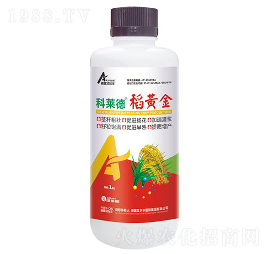 ���S��-���R��-��¶�����S