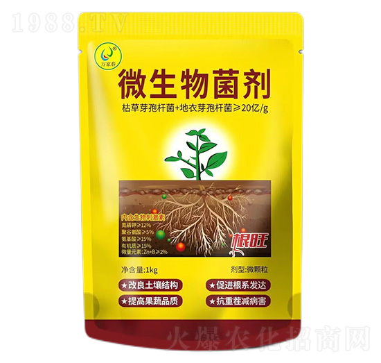 ΢�������-����-�f�ڴ�