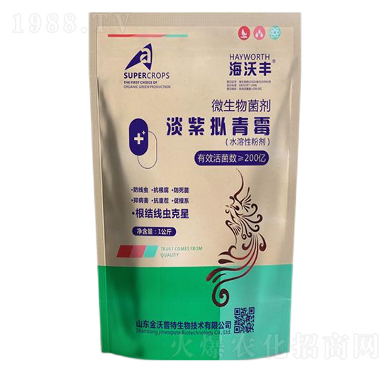 ���ϔM��ù-�����S-�����_(d��)����