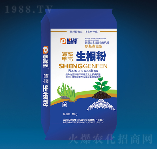 ����ך�������-������