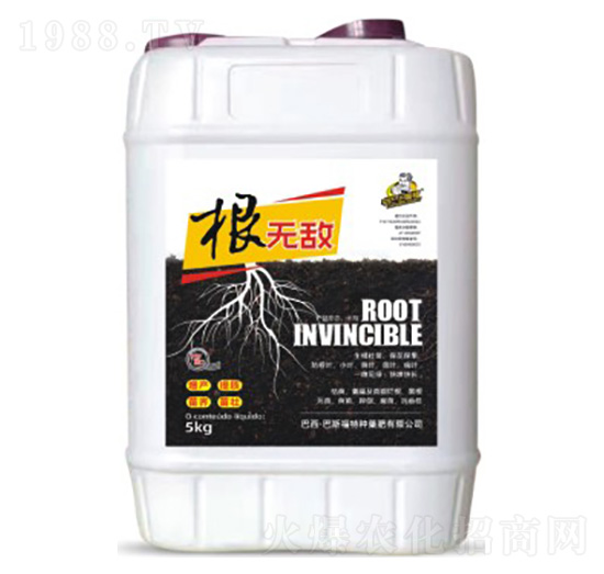 ���o(w��)-��-��˹��