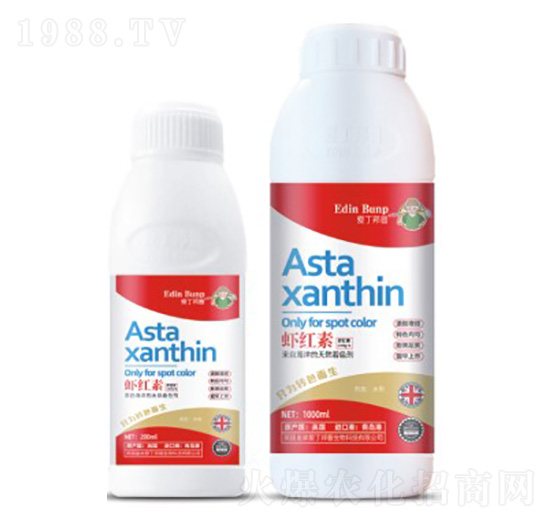 �r�t��-�۶�����