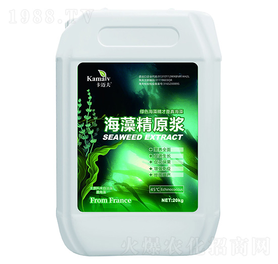 ���徫ԭ�{-���~��