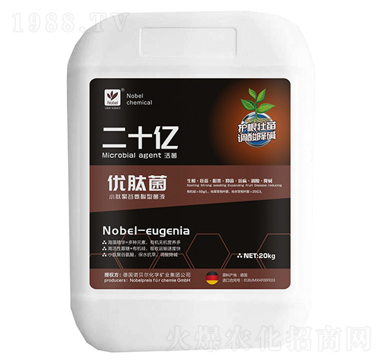 ��(y��u)�ľ�-��ʮ�|-�Zؐ��