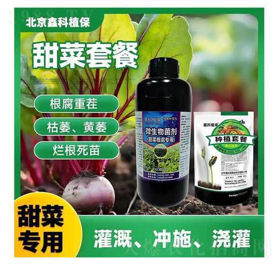 �ο�ֲ����˸����`������