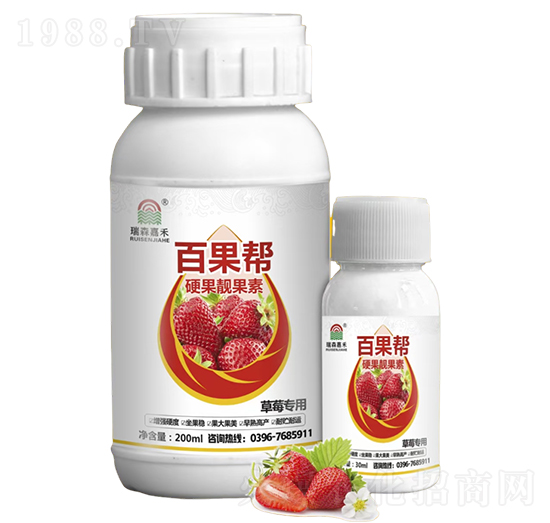 ��ݮ����Ӳ���n����-�ٹ���-��ɭ�κ�