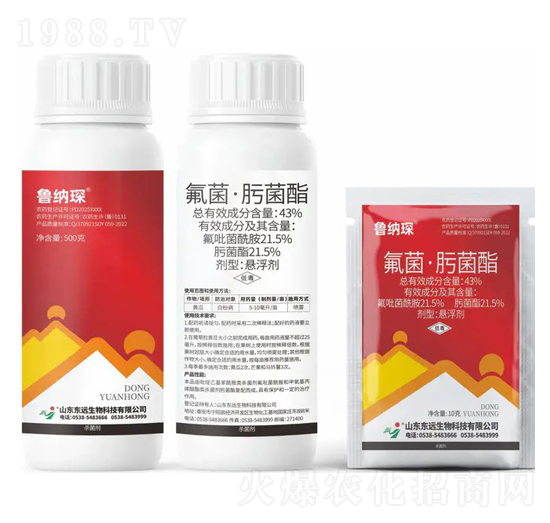 43%�������۾����Ҹ���-���{�-�|�h����