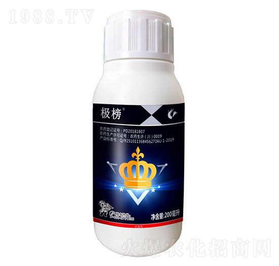 10%�x����-�O��-����¡����