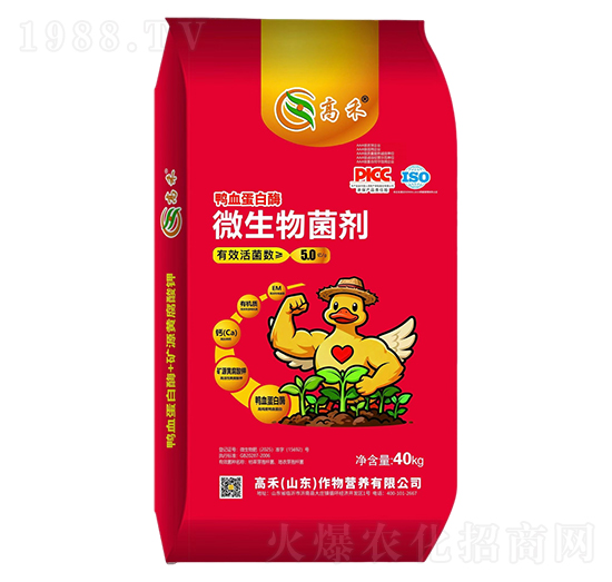 ��Ѫ����ø΢�������-�ߺ�