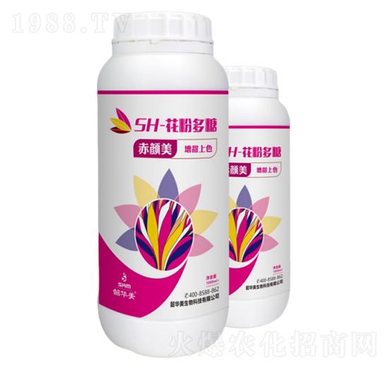 SH-���۶���-�����-���A��