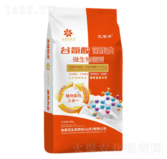 ΢��������A��-�Ȱ��������-���⻨