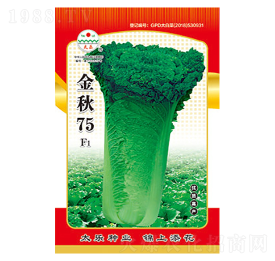 �ײ˷N��-����75-̫���N�I(y��)