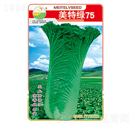 �ײ˷N��-���ؾG75-̫��(l��)�N�I(y��)