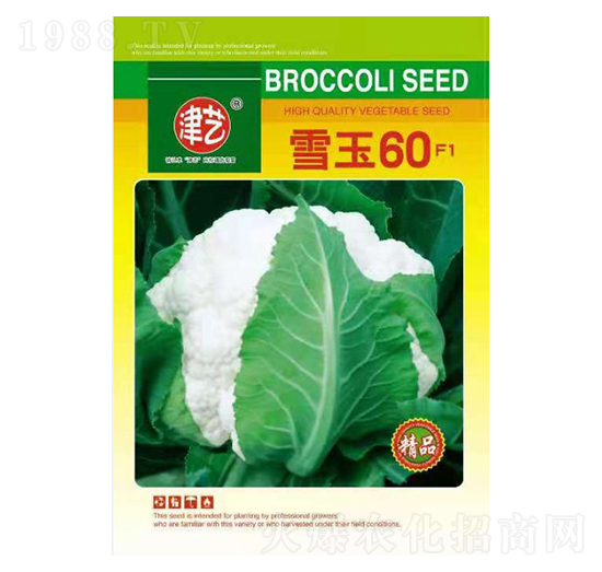 ���˷N��-ѩ��60-���S�r(n��ng)�I(y��)