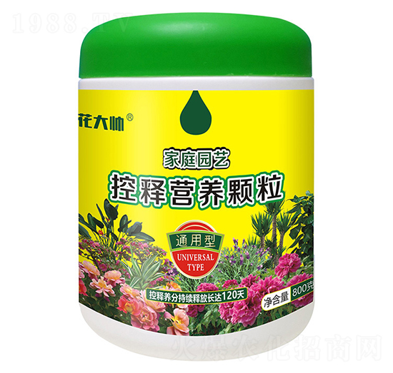 800��ͨ���ͼ�ͥ�@ˇ��ጠI�B(y��ng)�w��-����-�G�ַʘI(y��)