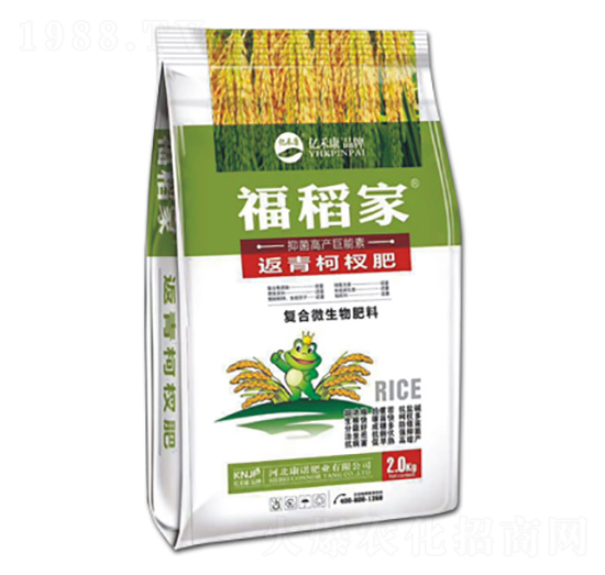 �����辷�-������-���Z�ʘI(y��)