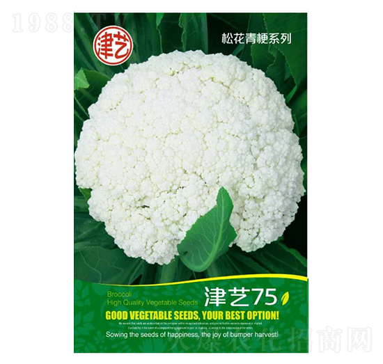 ���˷N��-��ˇ75-���S�r�I(y��)