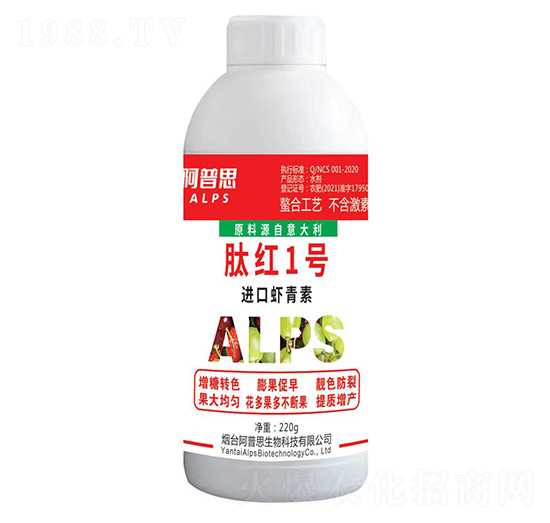 �M���r����-�ļt1̖-����˼����