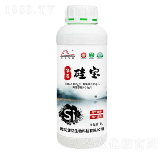 �����-�A�Ĺ茚-��������