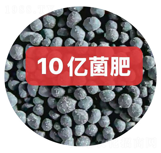 10�|�����w��-��M�}