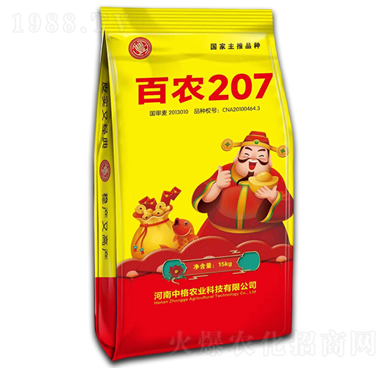 ���r207С���N��-�и�߿�