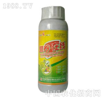 ��˼·-�I�B(y��ng)�ھ�