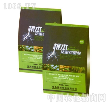 ��ɽ����-�������ز��