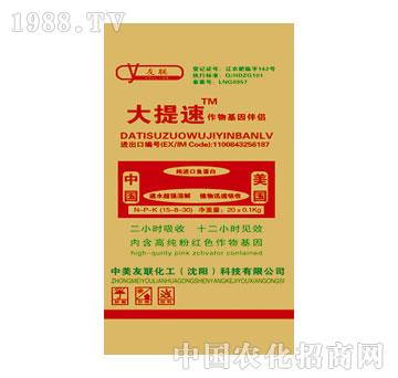 ����-������