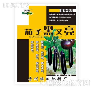 ��(r��n)��-���Ӻ�����