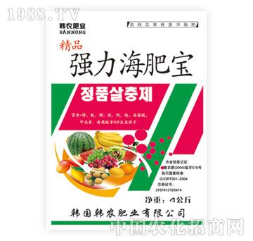 ����-�������ʌ�