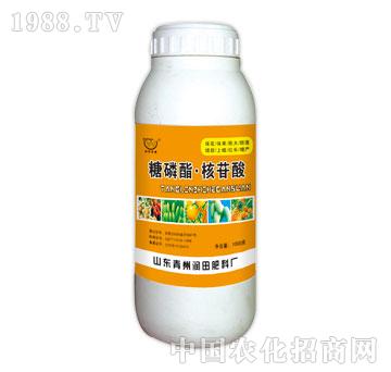 ����-����֬������