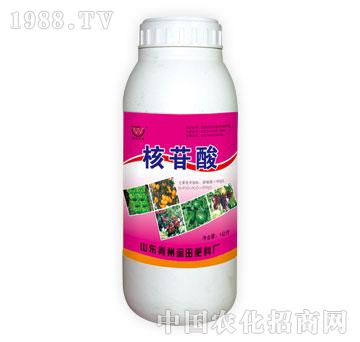 ��(r��n)��-������1����