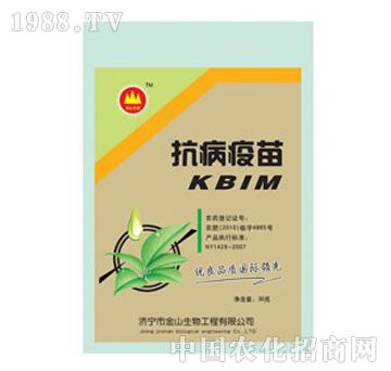 ��ɽ����-��������