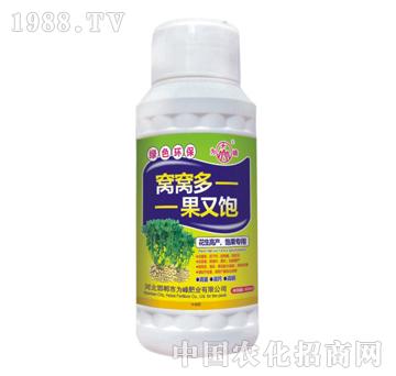 �C�C��-���