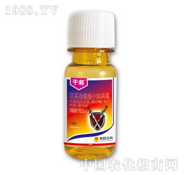 20�|PIB/�������ҹ���С�w����-�Ɍ�-̩�