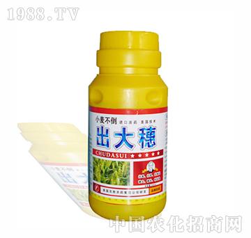 ������-�����r(n��ng)��