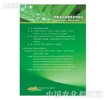 �װ������S���ر������}-�ֵ��Sˎ�I(y��)