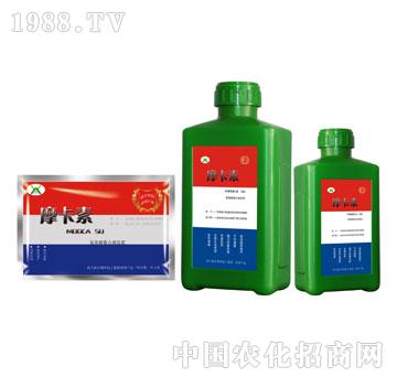 ����������Һ�ķʣ��M�ϣ�-Ħ����-��(qi��ng)о���H