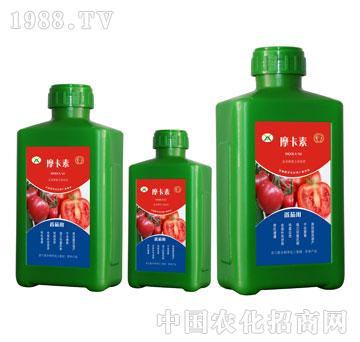 ���ь��ð���������Һ�ķ�-Ħ����-��(qi��ng)о���H