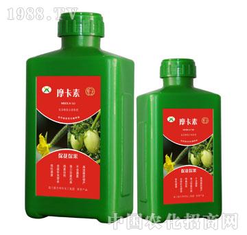 ������������������Һ�ķ�-Ħ����-��(qi��ng)о���H