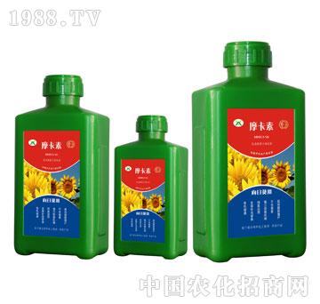 ���տ����ð���������Һ�ķ�-Ħ����-��(qi��ng)о���H