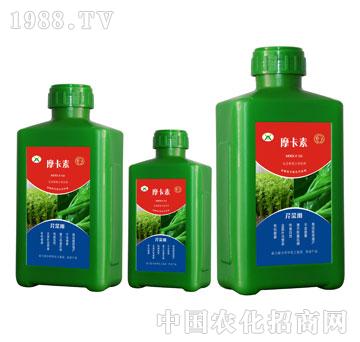 �۲ˌ��ð���������Һ�ķ�-Ħ����-��(qi��ng)о���H