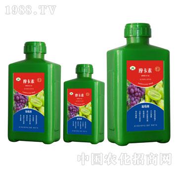 ���ь��ð���������Һ�ķ�-Ħ����-��(qi��ng)о���H